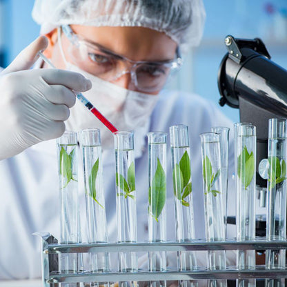 🐝 Cheemex® Bee Toxin Nodular Acupoint Stimulating Patch 🧑‍⚕️ Treats Diabesity, Obesity, High Blood Sugar Level